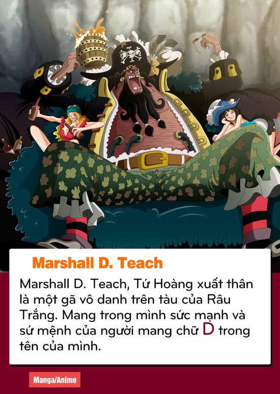 One Piece: Luffy – Râu Đen và những điểm giống nhau của 2 kẻ đối lập về lý tưởng sống - Ảnh 4.