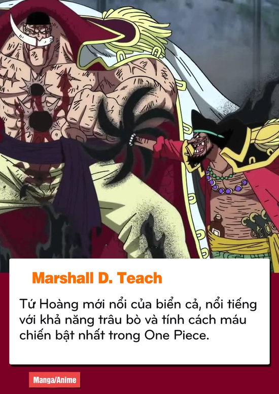 One Piece: Luffy – Râu Đen và những điểm giống nhau của 2 kẻ đối lập về lý tưởng sống - Ảnh 6.