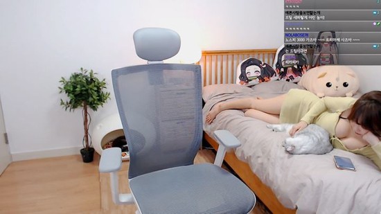Lạ lùng cô nàng streamer, mặc kệ người xem chỉ nằm vuốt ve mèo cưng nhưng lại khiến viewer lưu luyến, đuổi cũng không đi - Ảnh 3.