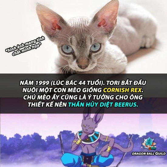 Những thông tin thú vị về cha đẻ Dragon Ball nhân dịp sinh nhật lần thứ 65 của ông - Ảnh 11.