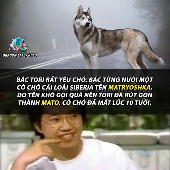 Những thông tin thú vị về cha đẻ Dragon Ball nhân dịp sinh nhật lần thứ 65 của ông - Ảnh 8.