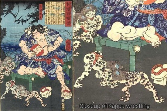 One Piece: Không phải là Kappa, chủng loại người cá của Kawamatsu đã được hé lộ trong SBS Vol 96 - Ảnh 4.
