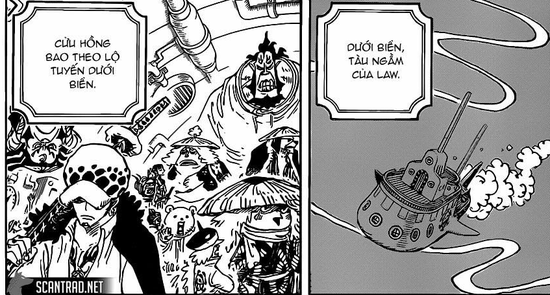 One Piece: Zoro đi lạc bất ngờ gặp được Yamato và 5 thế lực có thể tìm ra con trai của Tứ Hoàng Kaido - Ảnh 6.