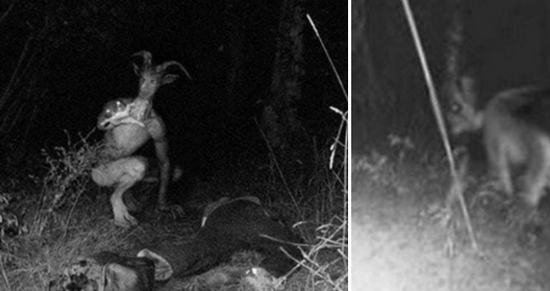 Goatman: Con quái vật đứng sau những câu chuyện kinh dị nổi tiếng mà có thể bạn đã từng nghe - Ảnh 2.
