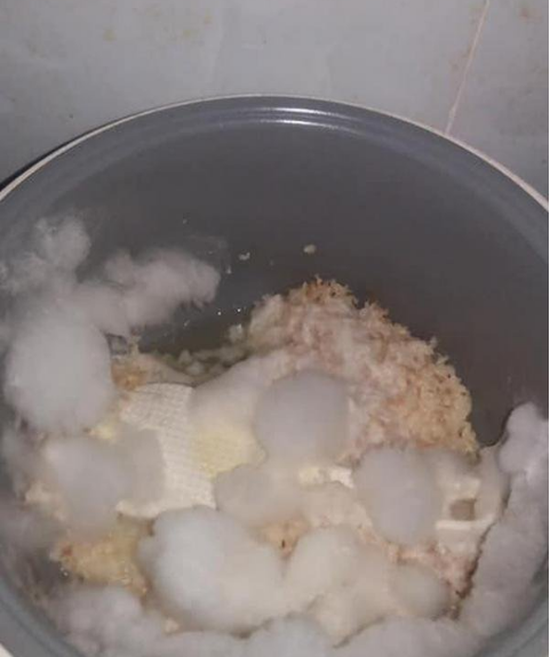 Mở tủ lạnh sau 4 tháng nghỉ tránh dịch, nữ sinh rùng mình vì vương quốc giòi bọ - Ảnh 4.