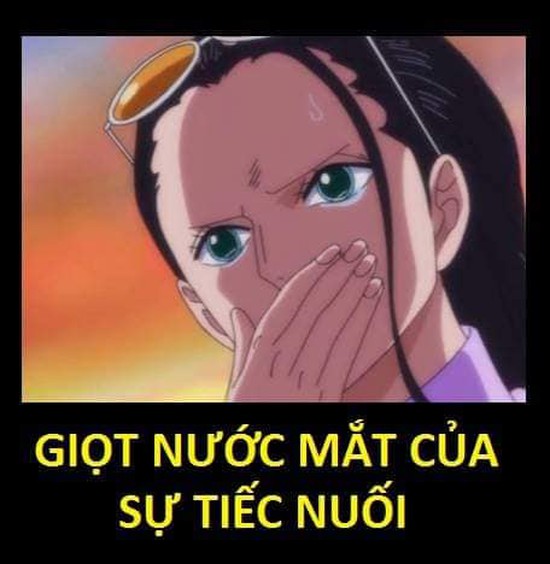 One Piece: Xúc động khi nhìn lại những lần rơi lệ của băng Mũ Rơm, có những khoảnh khắc khiến fan không cầm được nước mắt - Ảnh 10.