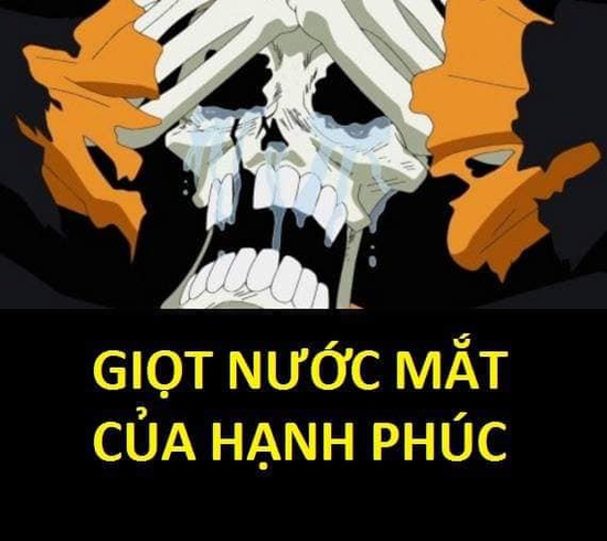 One Piece: Xúc động khi nhìn lại những lần rơi lệ của băng Mũ Rơm, có những khoảnh khắc khiến fan không cầm được nước mắt - Ảnh 12.