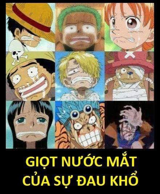 One Piece: Xúc động khi nhìn lại những lần rơi lệ của băng Mũ Rơm, có những khoảnh khắc khiến fan không cầm được nước mắt - Ảnh 2.