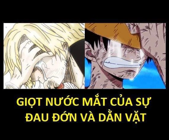 One Piece: Xúc động khi nhìn lại những lần rơi lệ của băng Mũ Rơm, có những khoảnh khắc khiến fan không cầm được nước mắt - Ảnh 3.