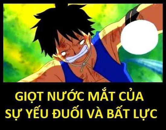 One Piece: Xúc động khi nhìn lại những lần rơi lệ của băng Mũ Rơm, có những khoảnh khắc khiến fan không cầm được nước mắt - Ảnh 4.