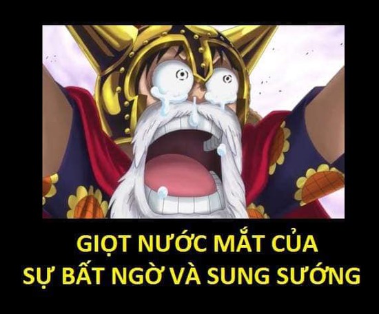 One Piece: Xúc động khi nhìn lại những lần rơi lệ của băng Mũ Rơm, có những khoảnh khắc khiến fan không cầm được nước mắt - Ảnh 5.