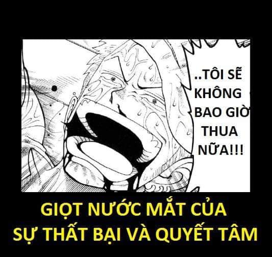 One Piece: Xúc động khi nhìn lại những lần rơi lệ của băng Mũ Rơm, có những khoảnh khắc khiến fan không cầm được nước mắt - Ảnh 6.