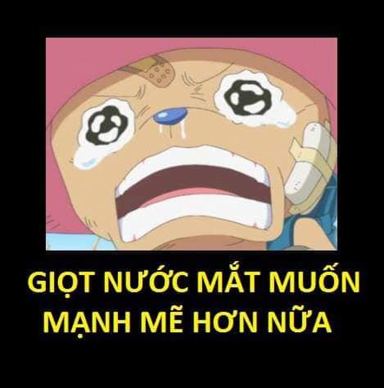 One Piece: Xúc động khi nhìn lại những lần rơi lệ của băng Mũ Rơm, có những khoảnh khắc khiến fan không cầm được nước mắt - Ảnh 9.