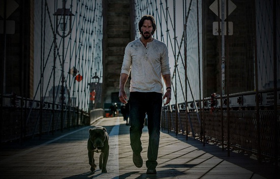 Nhây như Keanu Reeves: Rõ ràng phim có tên khác nhưng cứ thích gọi là John Wick, buộc nhà sản xuất phải đổi luôn tựa đề của cả series - Ảnh 1.