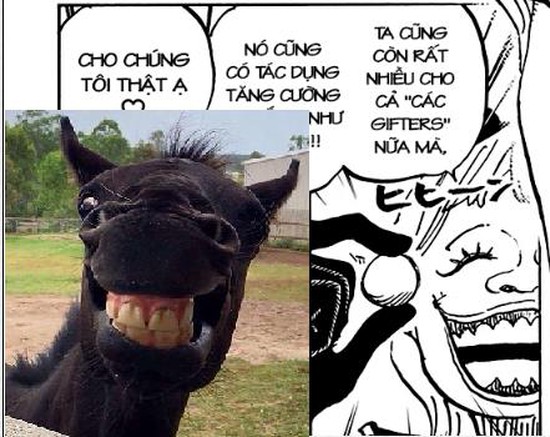 Soi những chi tiết thú vị trong chap 1004 One Piece: O-Tama bắt đầu toả sáng (P1) - Ảnh 4.