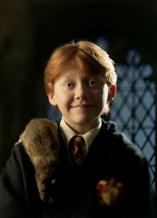 Dàn sao Harry Potter sau 20 năm: Hermione sắp cưới, Harry phải cai rượu, bất ngờ nhất là Voldemort 58 tuổi vẫn phong trần, quyến rũ! - Ảnh 16.