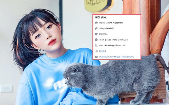  Liên tiếp bị report khiến tài khoản Facebook hàng triệu followers bị khóa, Linh Ngọc Đàm tuyên bố nghỉ chơi - Ảnh 1.