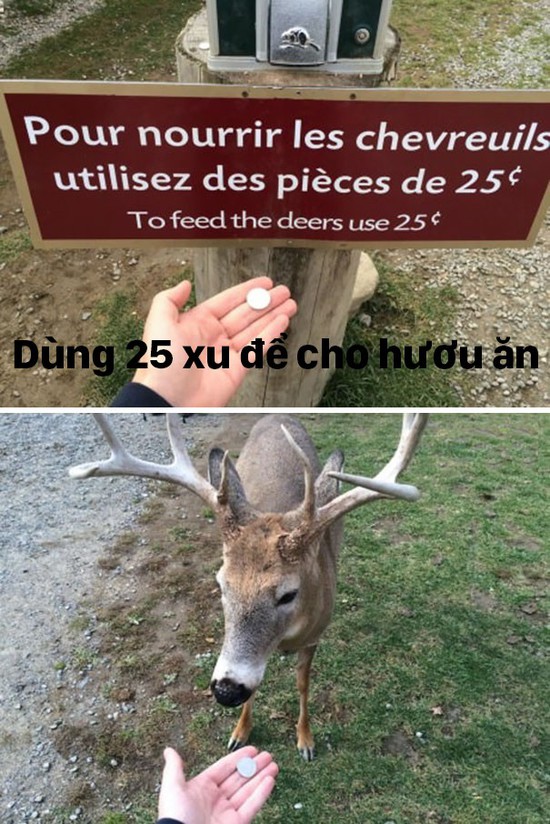 Những hành động bắt chước kỳ quái khiến chúng ta chẳng hiểu kiểu gì - Ảnh 12.