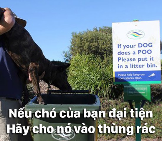Những hành động bắt chước kỳ quái khiến chúng ta chẳng hiểu kiểu gì - Ảnh 4.
