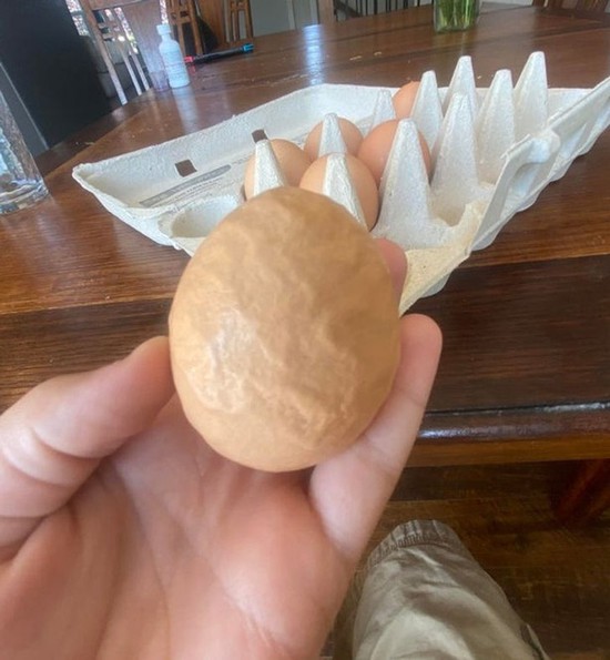 Những tình huống khó hiểu khiến người xem chẳng hiểu chuyện gì đã xảy ra nữa luôn - Ảnh 10.