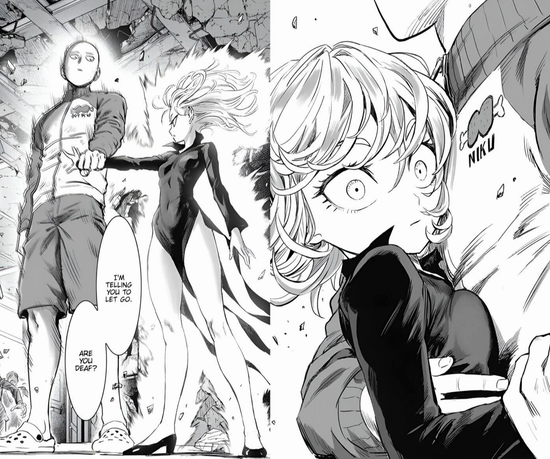 One Punch Man: Người hâm mộ muốn thấy mối tình tay ba giữa Saitama và '2 nàng bão' - Ảnh 2.