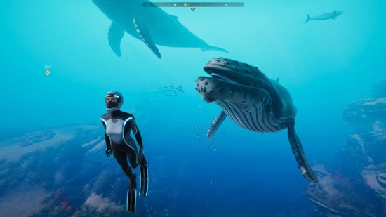 Game phiêu lưu đại dương Beyond Blue sắp phát hành miễn phí - Ảnh 1.