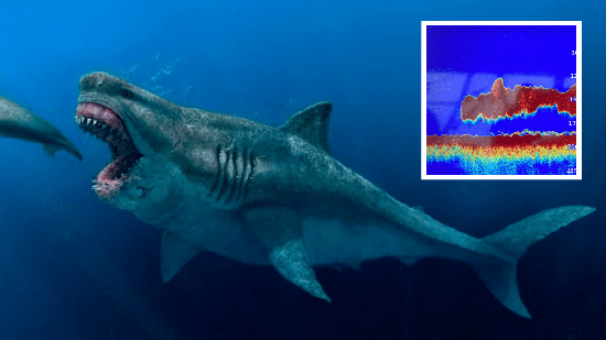 Điều gì sẽ xảy ra nếu cá mập Megalodon chiến đấu với loài trăn khổng lồ Titanoboa? - Ảnh 1.