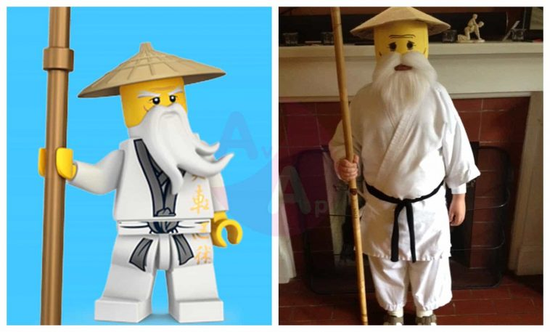 Master Wu cosplay
