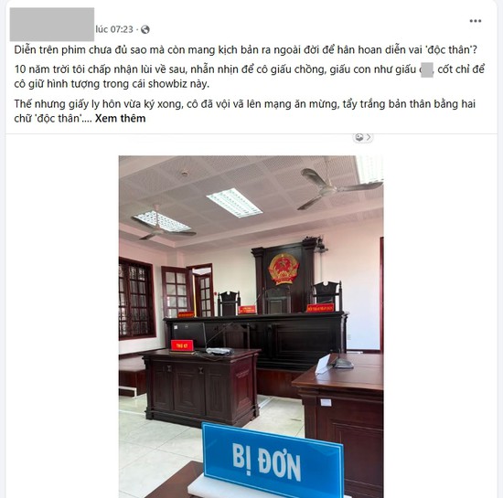 Thư Đan Nguyễn - mỹ nhân phim Báu Vật Trời Cho bị chồng tố lừa dối, “diễn vai độc thân”- Ảnh 1.