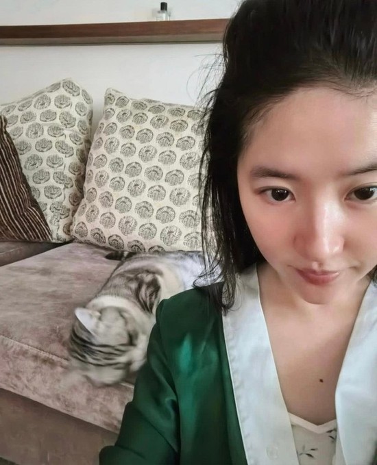 Vì sao Lưu Diệc Phi bị nói như sinh viên?- Ảnh 9.