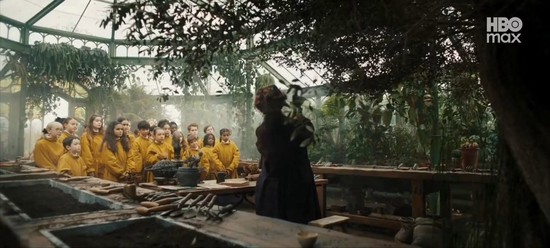 Harry Potter bản truyền hình tung trailer khiến MXH dậy sóng: Hermione hớp hồn khán giả, một nhân vật có thù với NSX- Ảnh 2.