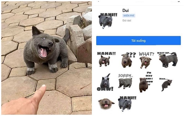 Ăn theo hot trend Nguyễn Văn Dúi, Facebook tạo ra loạt sticker mới về chú cún này và sự thật phía sau khiến tất cả bất ngờ