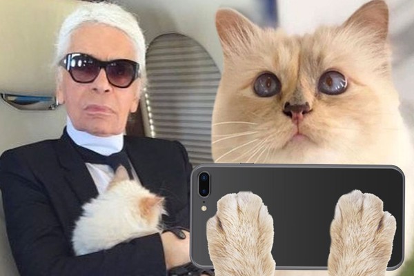 A “better than human” pet, the world’s richest cat has 2 personal servants