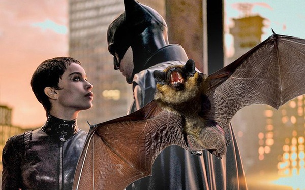 Going to see Batman, the audience panicked when they saw real bats flying around the theater