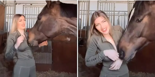 Being “grosped” by a pet horse, zipping her shirt to reveal her chest on the air, the beautiful hot girl cried and laughed when she saw herself going viral after just one clip.