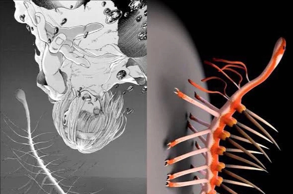Fan discovered that the Titan parasite “accidentally” looks exactly like a real creature