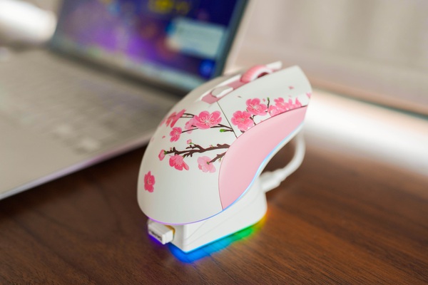 Charming wireless gaming mouse, priced at less than 700K, with high-end charging dock