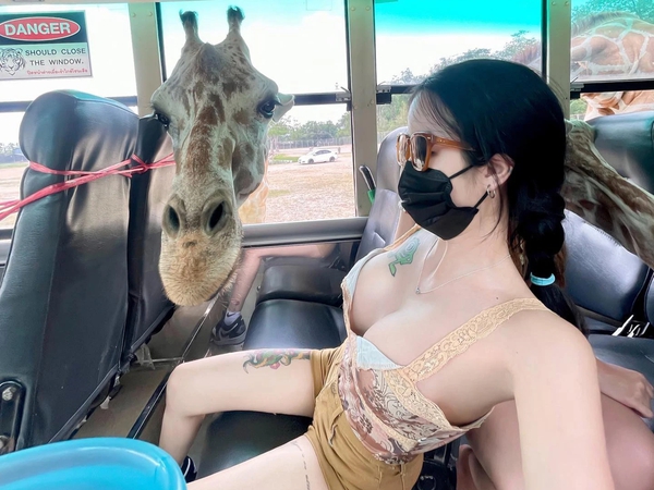 Visiting the zoo, the beautiful girl was suddenly “attacked by a giraffe”, the reason is said to be because the “soul” is too attractive.