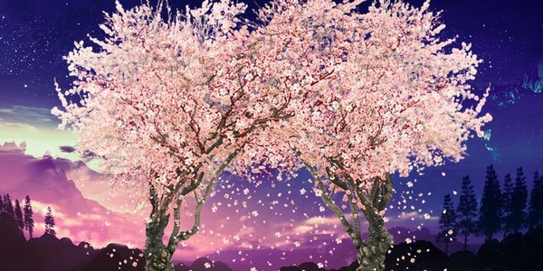 The dark secret behind the iconic cherry blossom tree in the anime