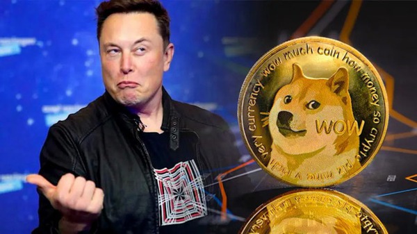 Deciding to “enchant”, live comfortably with Dogecoin, Elon Musk proposed to use this token to pay for Twitter services, the price went up “galloping” again.