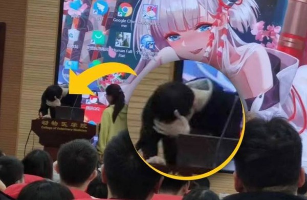 Students forgot to change the laptop wallpaper before plugging in the projector, accidentally revealing a picture of waifu in front of people’s tables