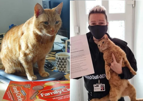 The cat allegedly entered the women’s changing area and broke into the police station to steal