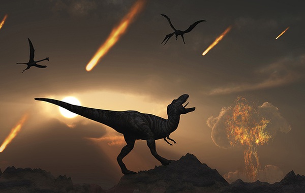 Why can cockroaches survive when meteorites wipe out dinosaurs?