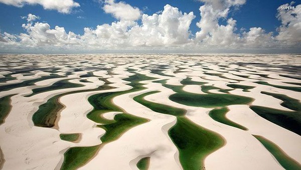 No sandstorms, hot sun, only a lake full of fish