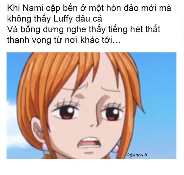 Cười nhặt mồm khi xem loạt meme về mỹ nữ sexy nhất One Piece mà chỉ fan ‘cứng’ mới hiểu được - Ảnh 10.