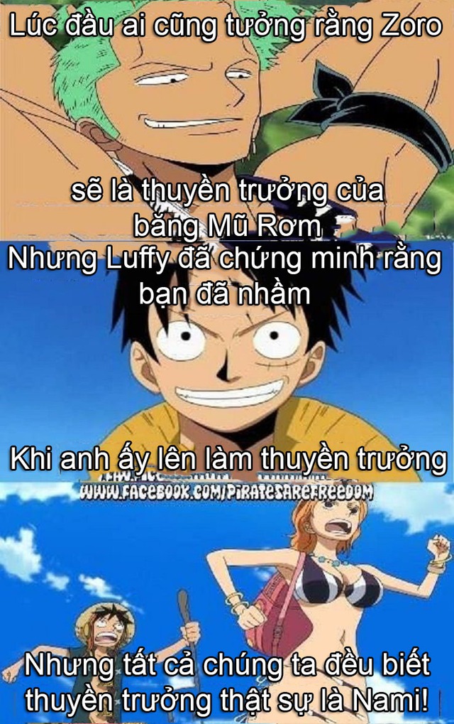 Cười nhặt mồm khi xem loạt meme về mỹ nữ sexy nhất One Piece mà chỉ fan ‘cứng’ mới hiểu được - Ảnh 7.