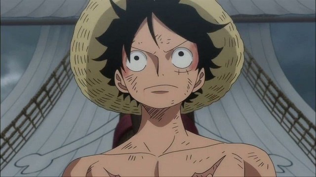 One Piece: Bất ngờ với quốc tịch và nghề nghiệp của 12 Siêu Tân Tinh nếu ở thế giới thực - Ảnh 1.