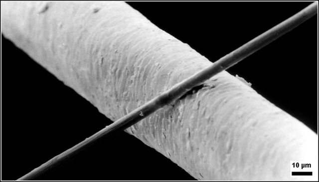 Các nhà khoa học chế tạo được máy gia tốc hạt tí hon: chỉ nhỏ bằng nửa sợi tóc, đặt vừa trên một con chip - Ảnh 2.