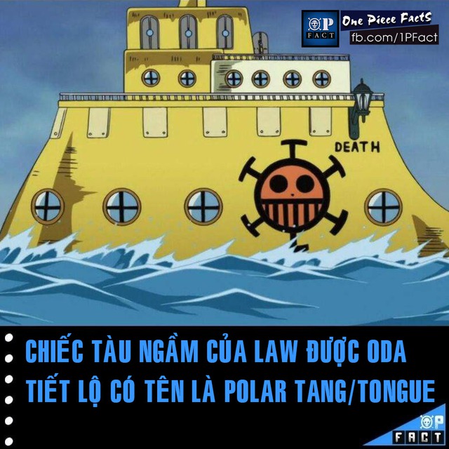 Đầu năm mới, cùng nhìn lại 20 fun facts thú vị trong truyện tranh One Piece - Ảnh 6.