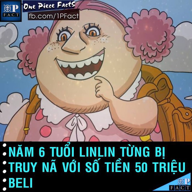 Đầu năm mới, cùng nhìn lại 20 fun facts thú vị trong truyện tranh One Piece - Ảnh 9.